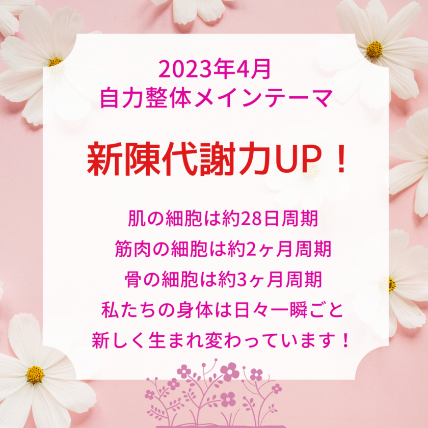 2023年4月の自力整体のテーマは新陳代謝UPです♪